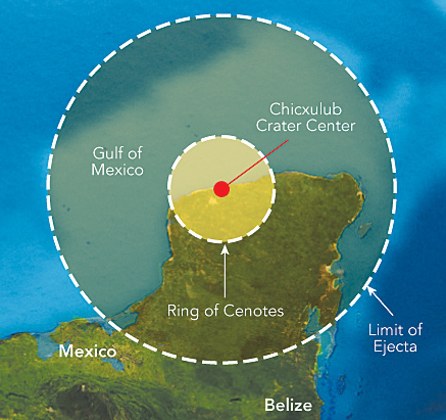 MUSEO DE CIENCIAS DEL CRÁTER DE CHICXULUB – Parque Cientifico Tecnológico  de Yucatán