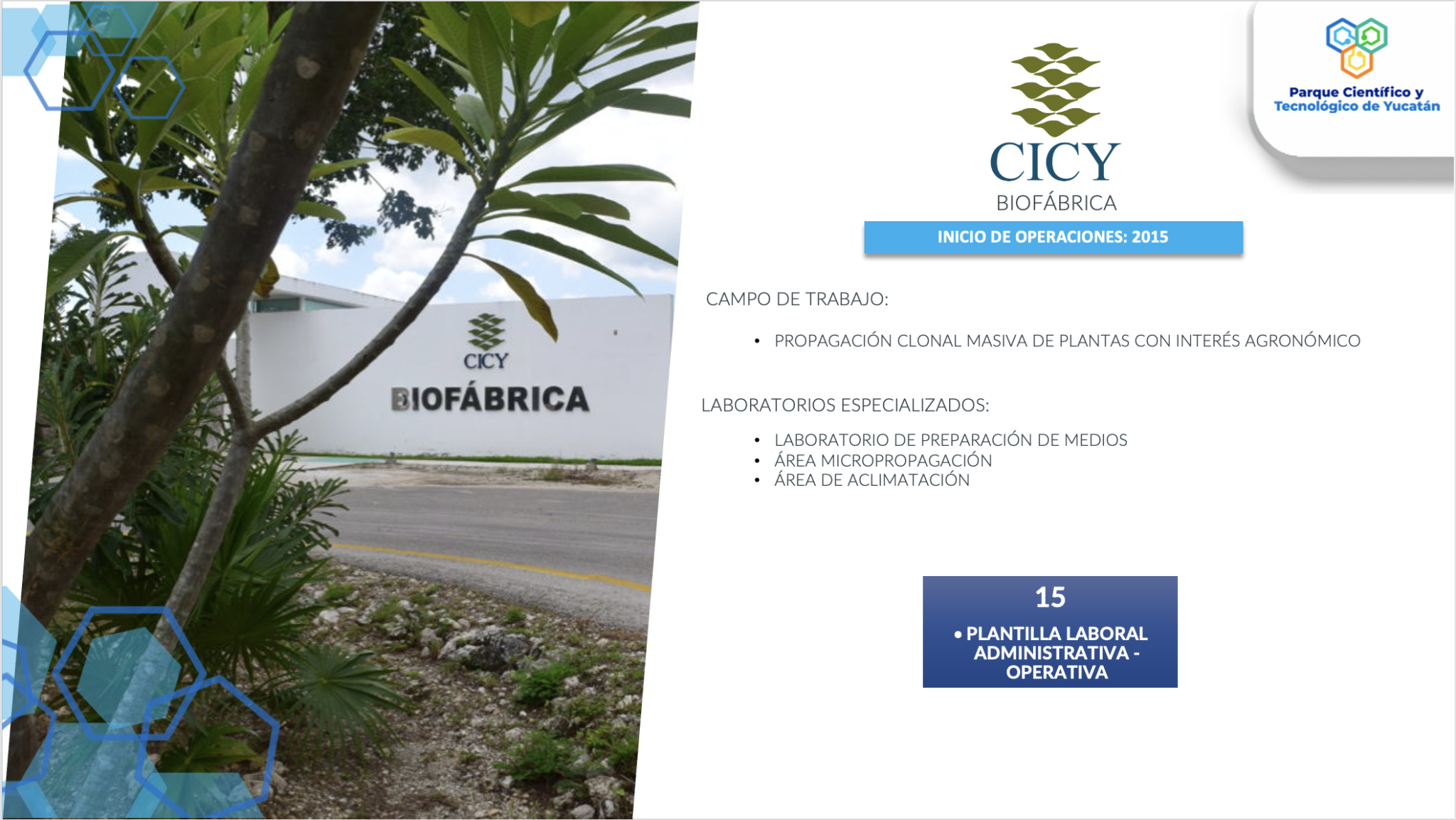 Integrantes – Parque Cientifico Tecnológico de Yucatán